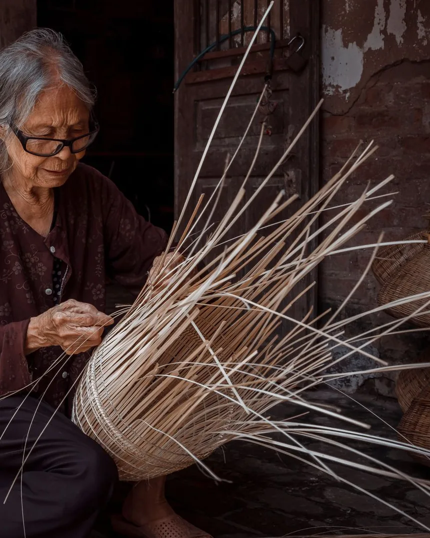Manos trabajando una pieza de cestería con un haz de fibras claras abierto en abanico sobre la pared de la cesta.