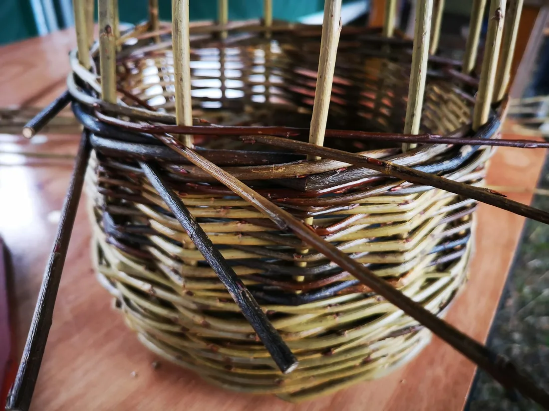 Cesta de mimbre a medio tejer sobre una mesa de taller, con los montantes todavía levantados y varias varas de refuerzo cruzadas en el borde.